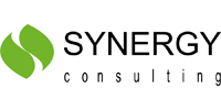   Synergy consulting