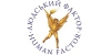   / Human Factor
